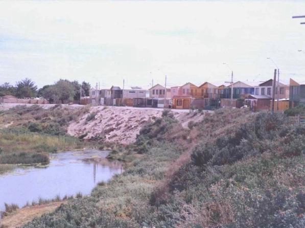conservacion-riberas-rio-loach
